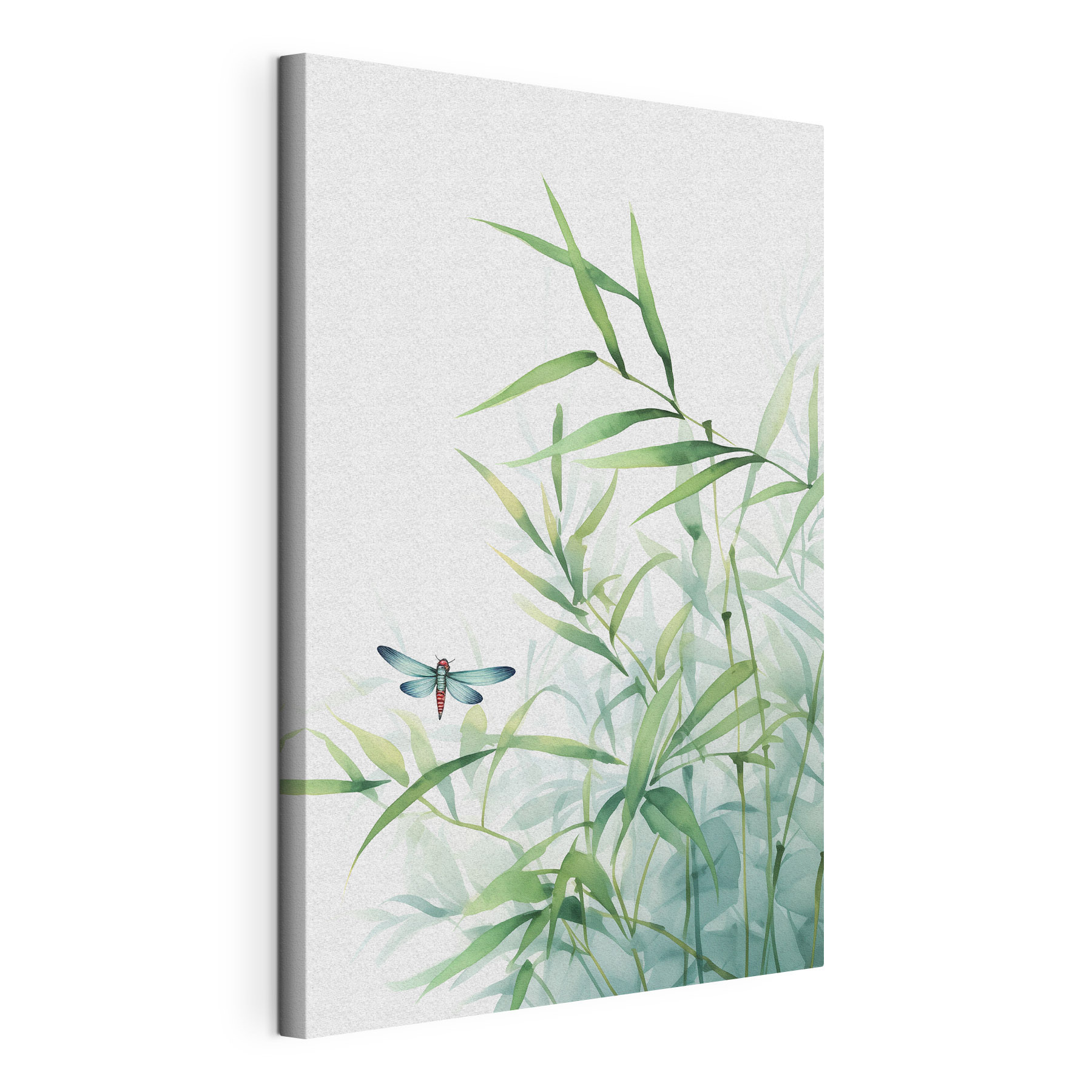Dragonfly on a plant