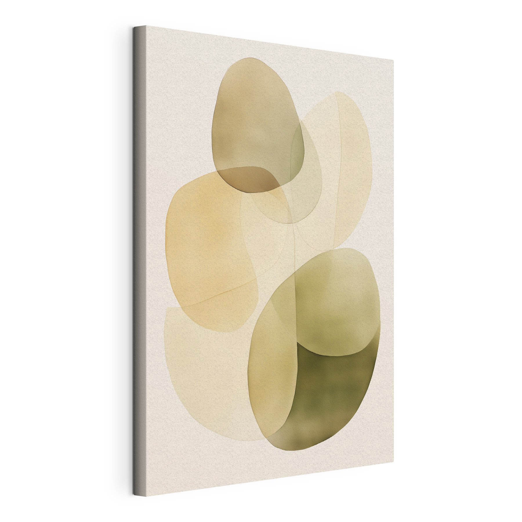 Soft curves in gentle earth tones