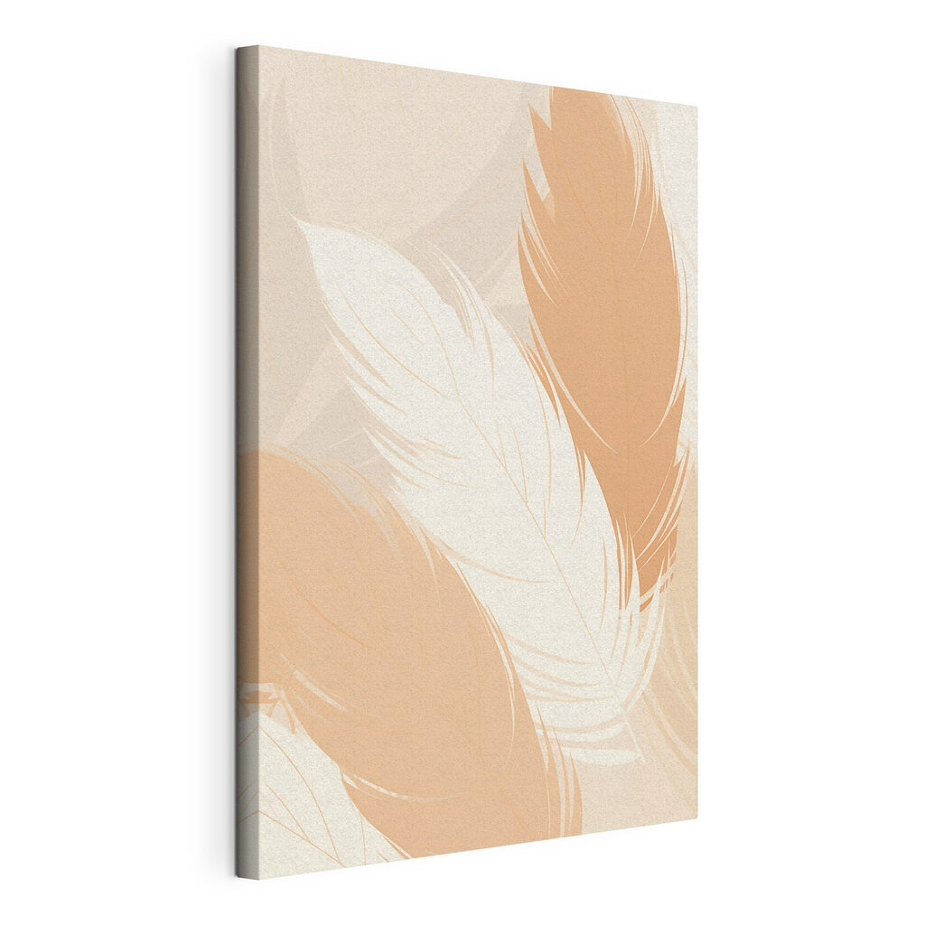 Group of feathers on a surface