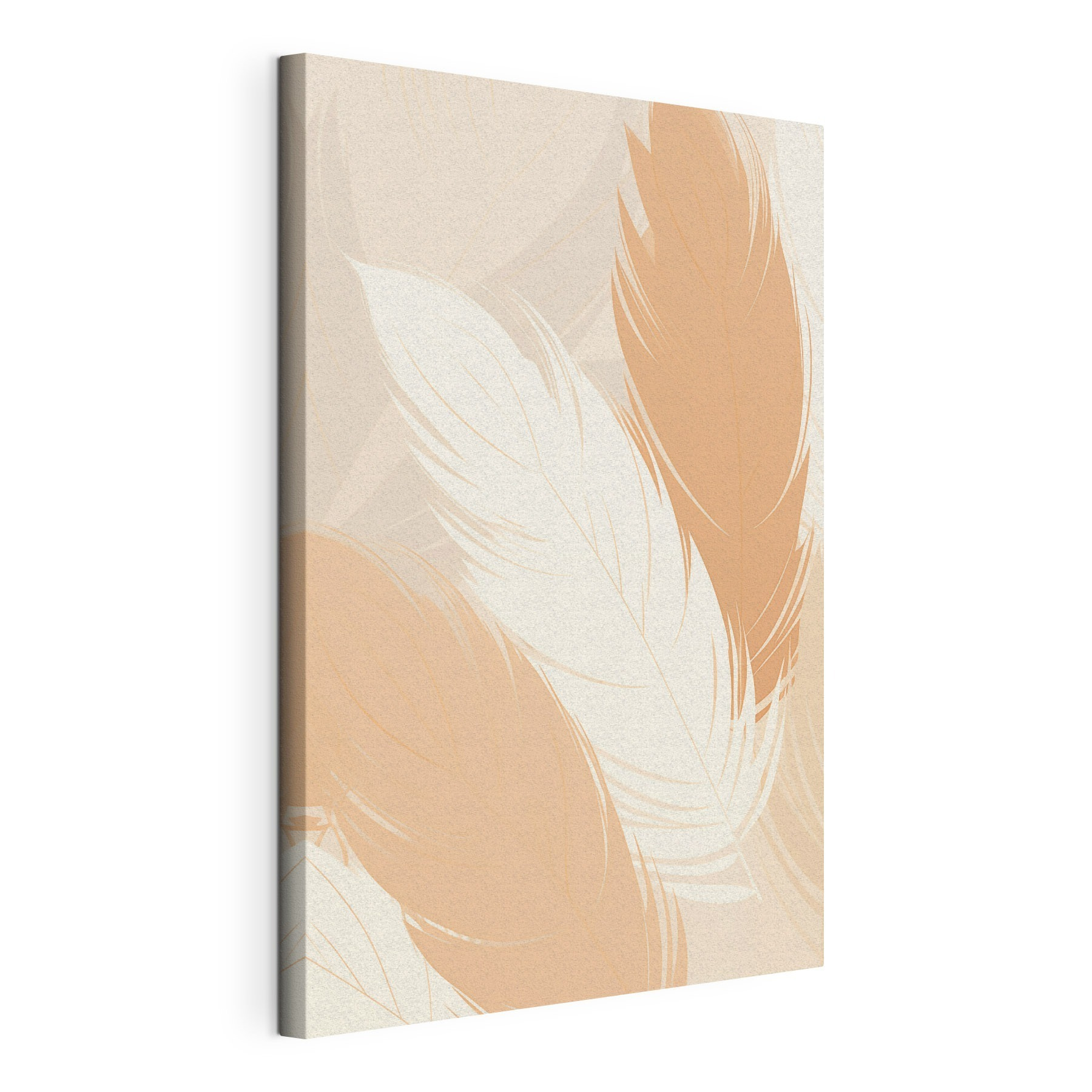 Group of feathers on a surface