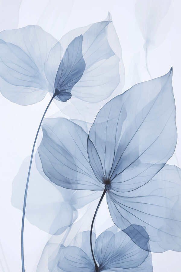 Delicate blue leaves on white backdrop Delicate blue leaves on white backdrop