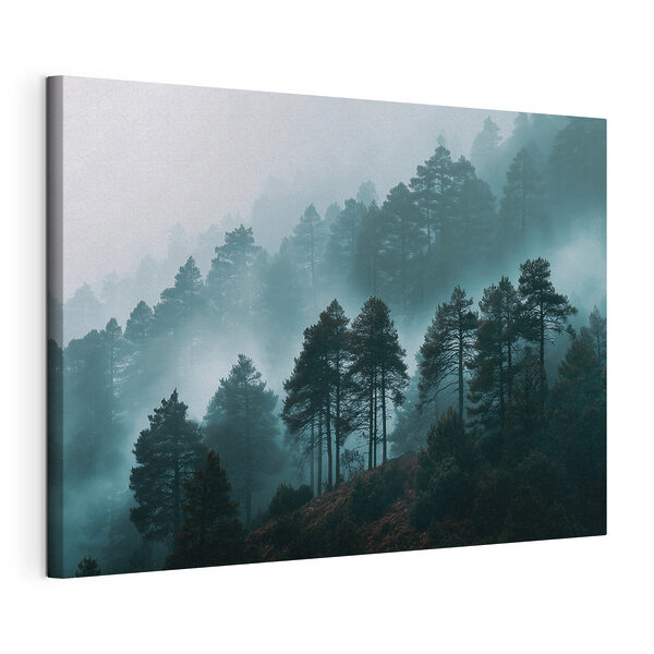 Tableaux Tableaux Forêt brumeuse avec des arbres (UGS : s49672)