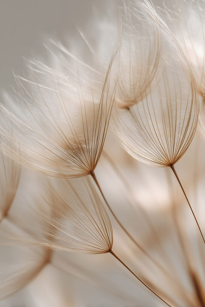 Delicate wisps dancing in soft light Delicate wisps dancing in soft light