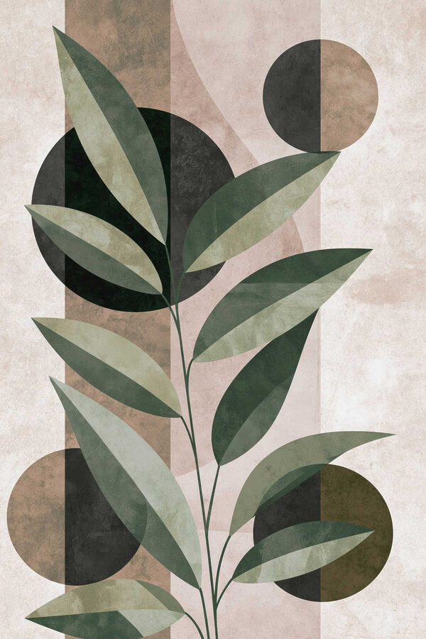 Plant with leaves and circles