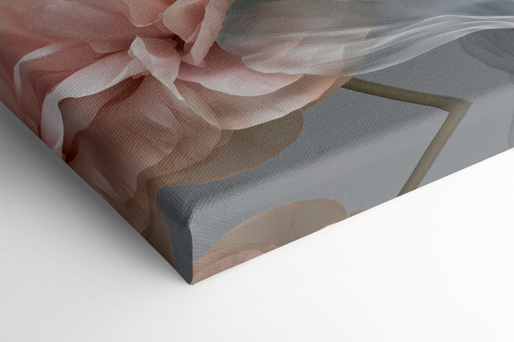 Delicate petals in soft hues