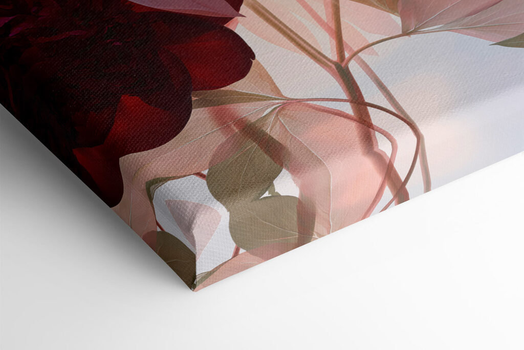 Delicate petals in soft hues