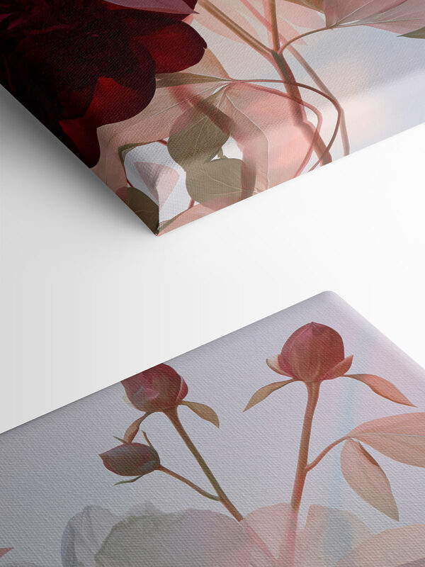 Delicate petals in soft hues