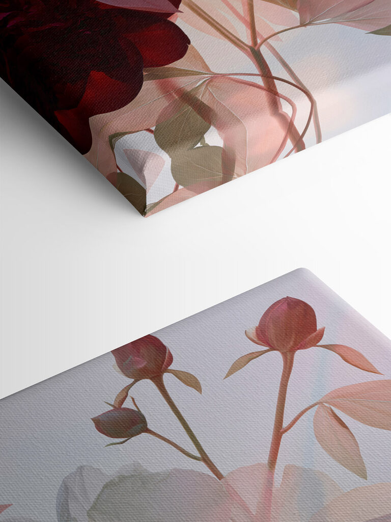 Delicate petals in soft hues
