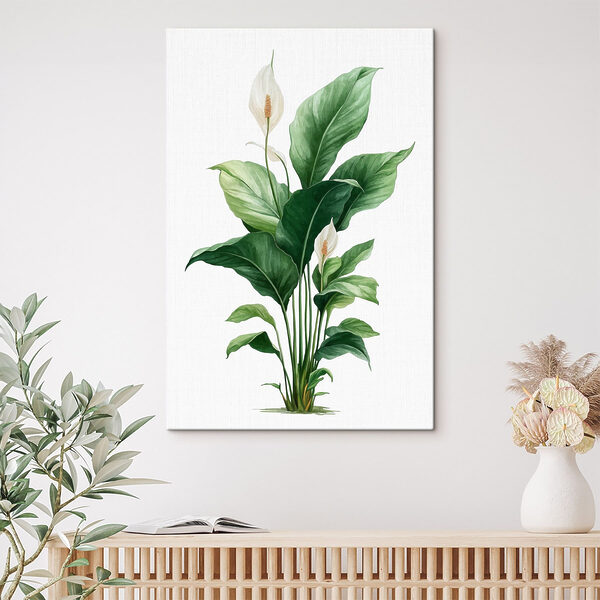 Plant with white flowers and green leaves Plant with white flowers and green leaves
