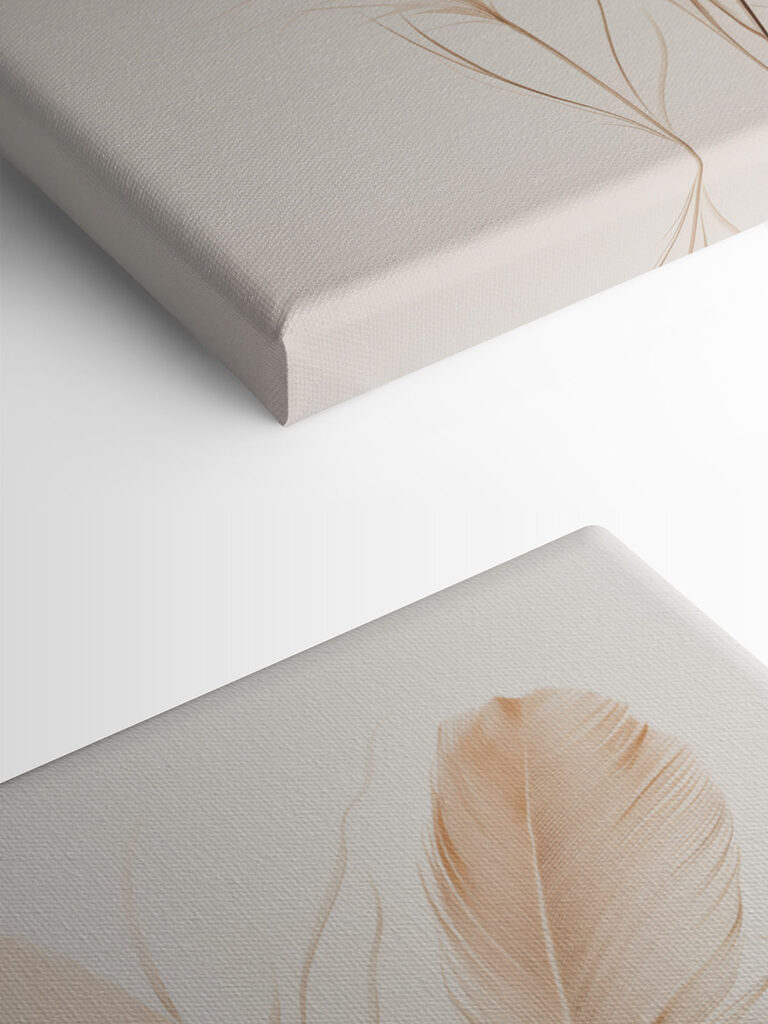 Delicate feathers in soft tones Delicate feathers in soft tones