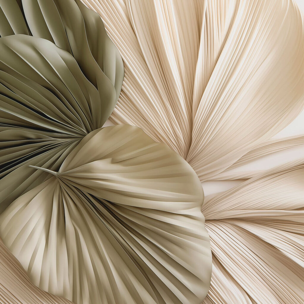 Elegant folds of natural forms Elegant folds of natural forms