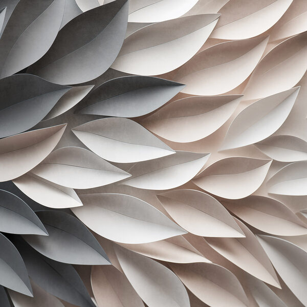 Gentle curves in soft colors