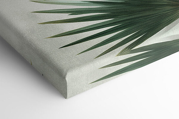 Nature's intricate green foliage design Nature's intricate green foliage design