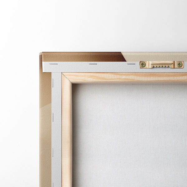 Flowing curves in soft tones