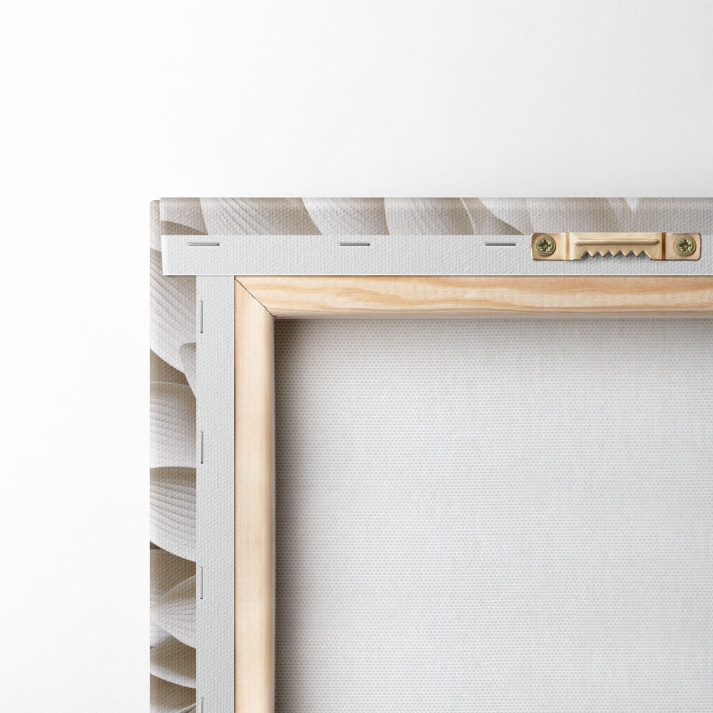 Black and white flower Black and white flower