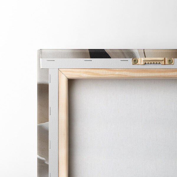 White rock with black line
