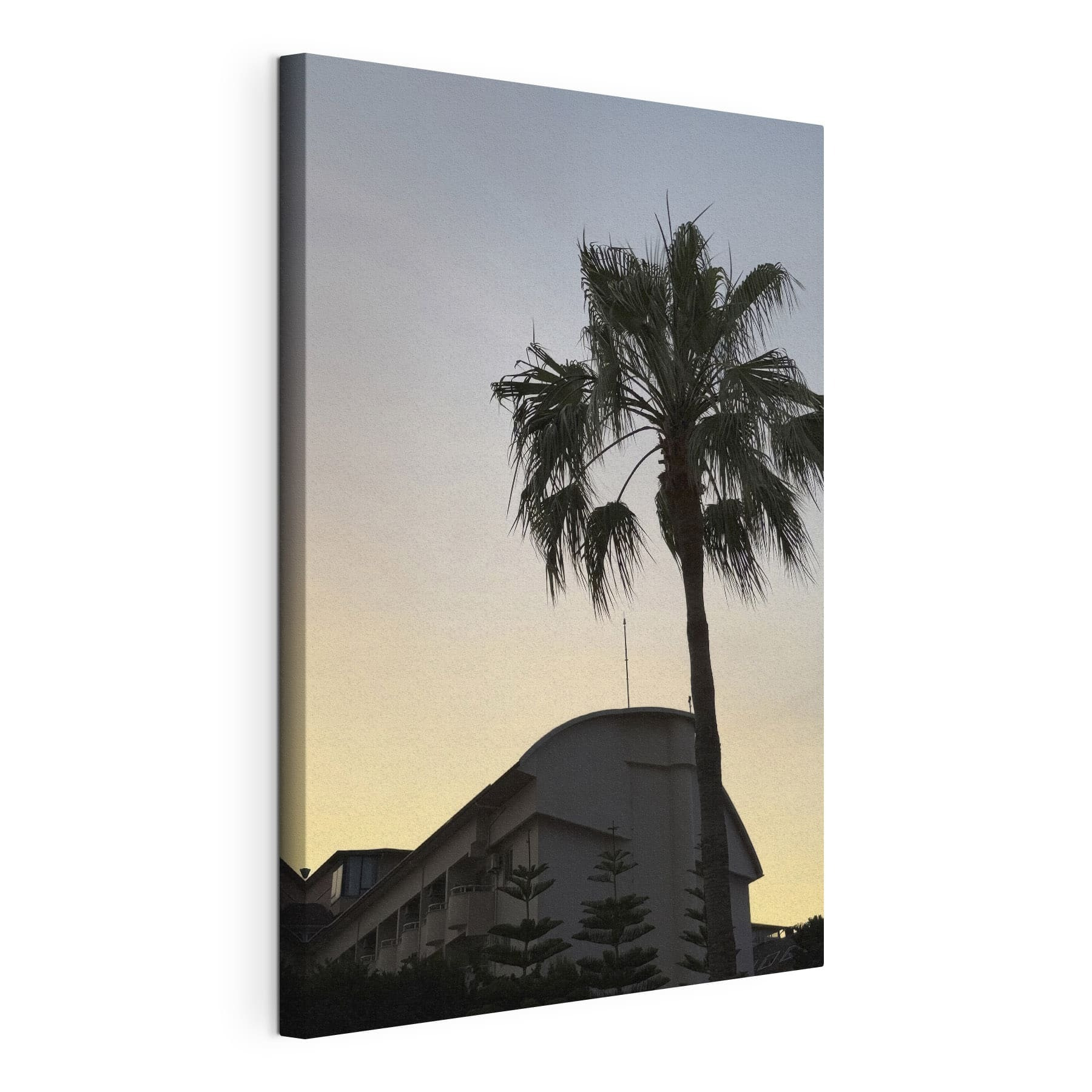 Palm tree in front of a building Palm tree in front of a building