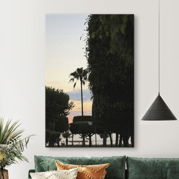 Palm trees and bushes