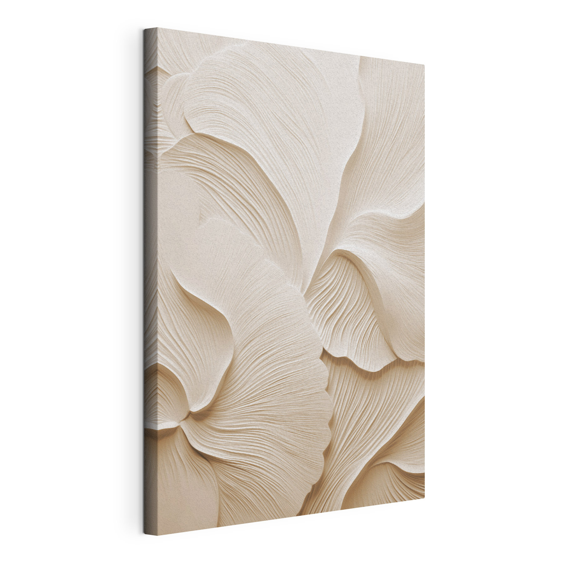 Gentle curves and soft lines abound Gentle curves and soft lines abound