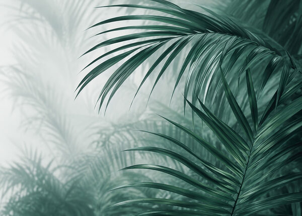Fresh foliage in a serene setting Fresh foliage in a serene setting