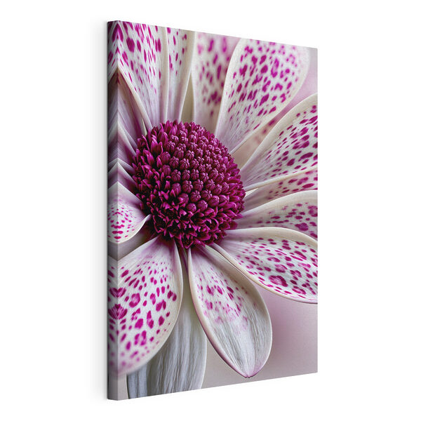 Stunning floral patterns in bloom Stunning floral patterns in bloom