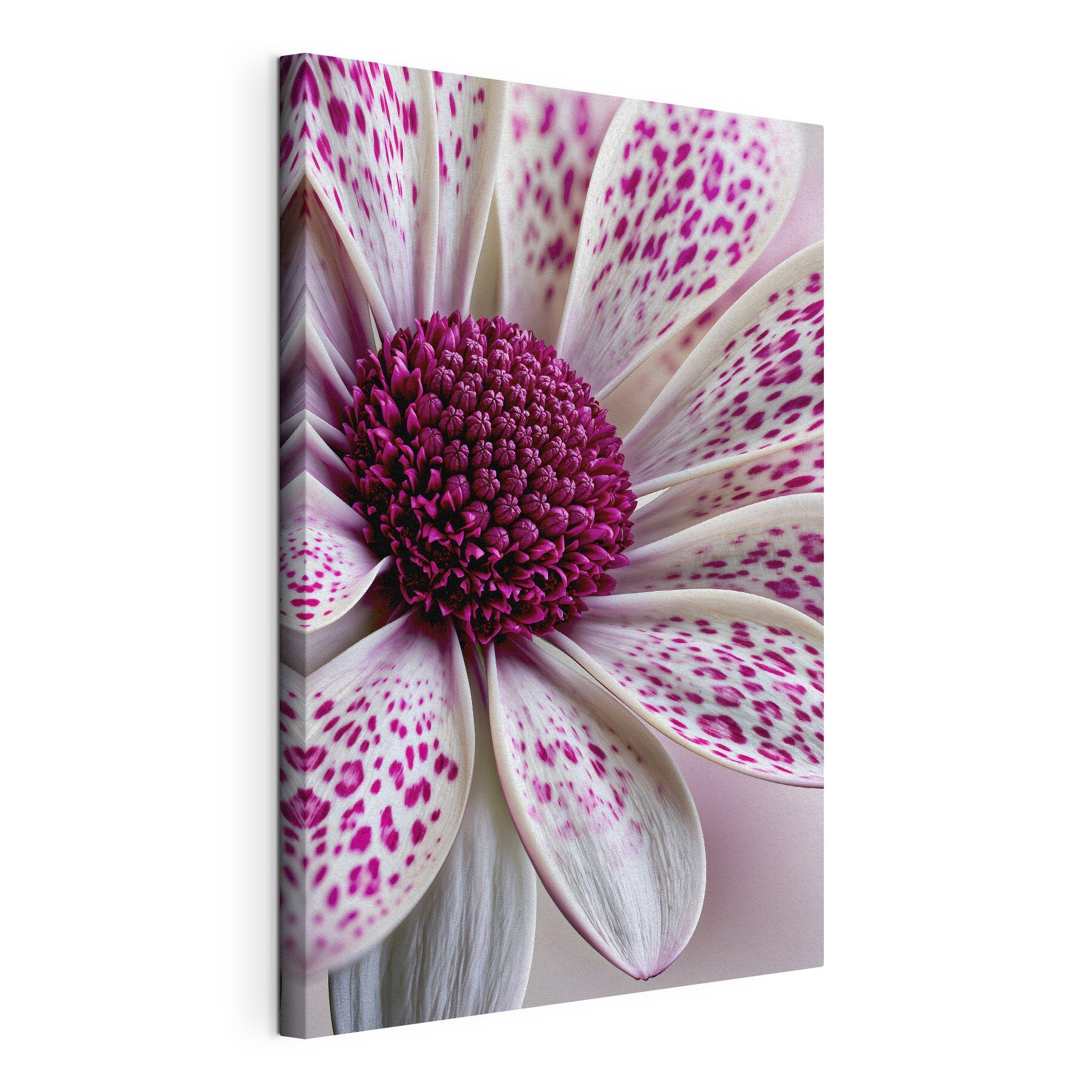 Stunning floral patterns in bloom Stunning floral patterns in bloom