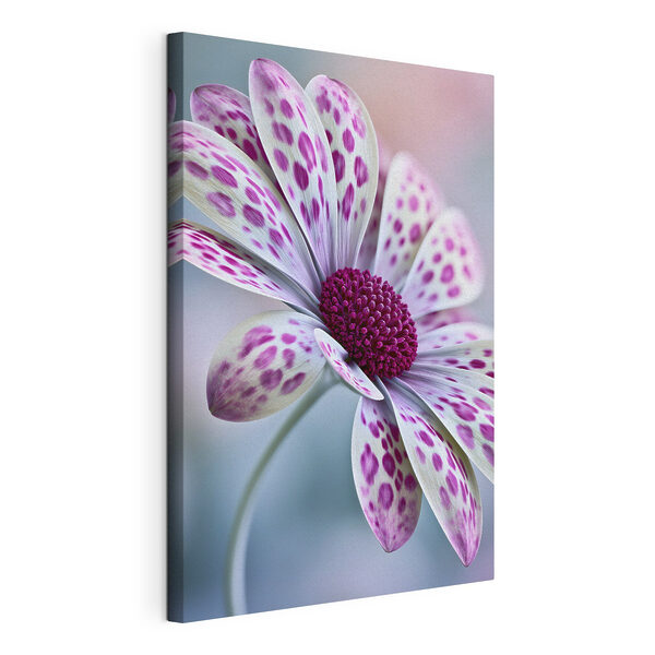 Elegant flower with vibrant patterns