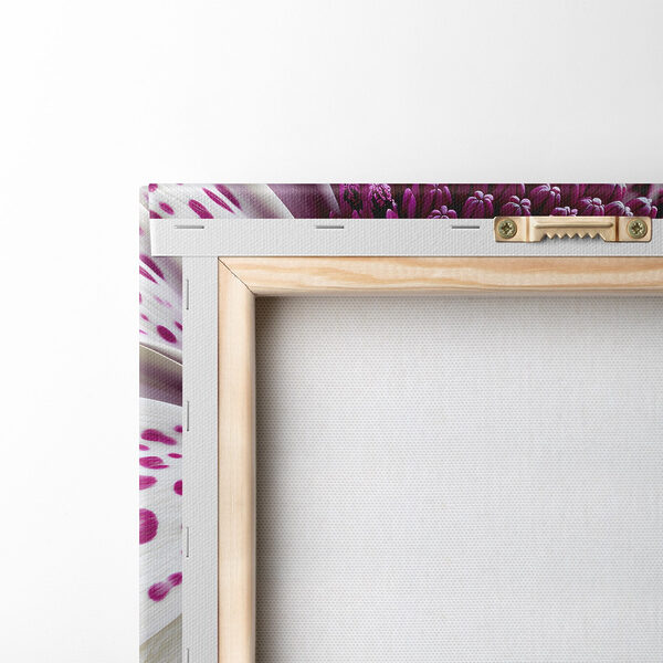 Vibrant petals in soft hues