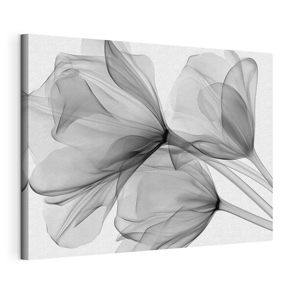 Bouquet de fleurs avec du tulle Tableaux Bouquet de fleurs avec du tulle