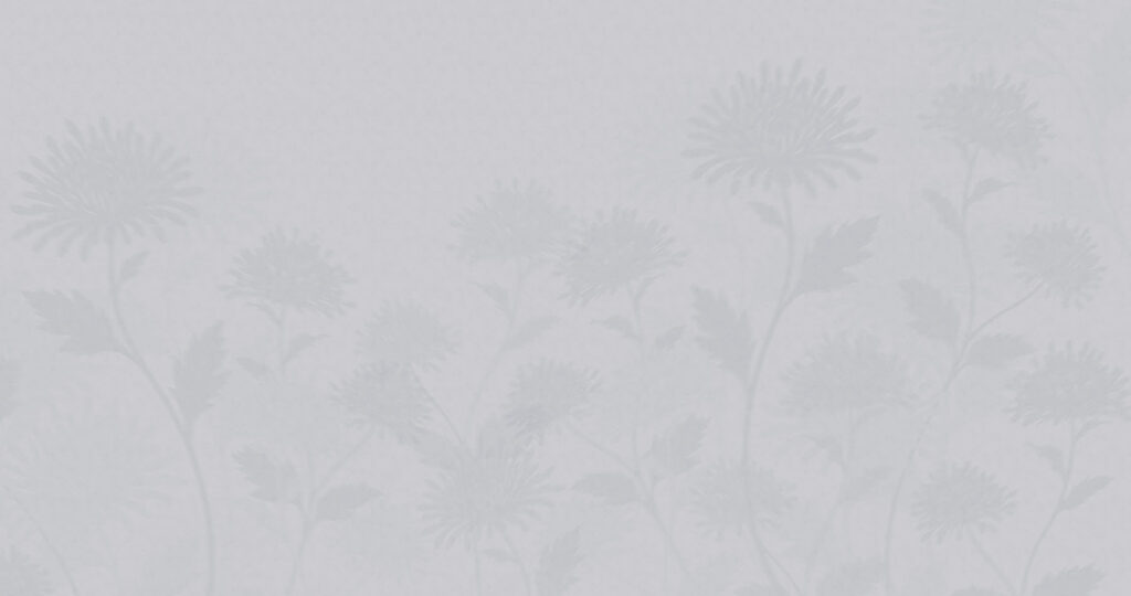 White background with flowers