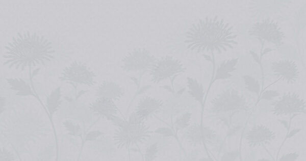 White background with flowers