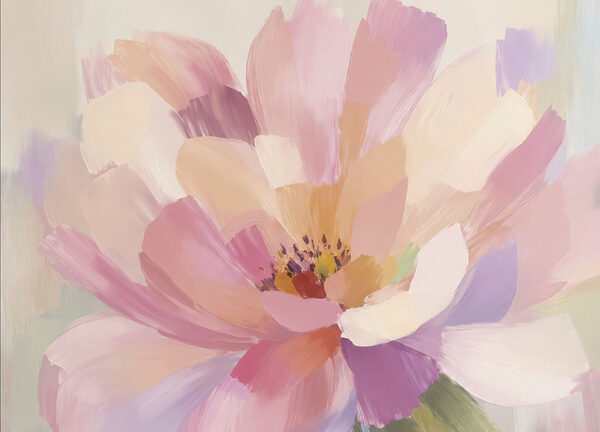 Beautiful flower in soft colors Beautiful flower in soft colors