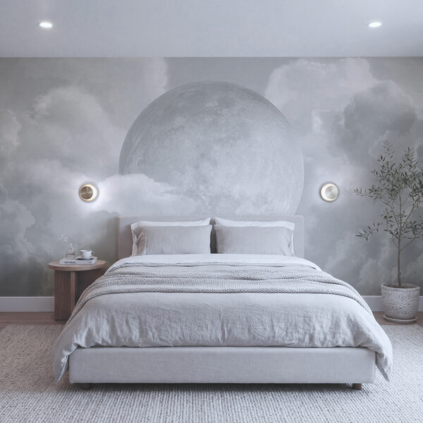 Pleine lune dans les nuages Pleine lune dans les nuages