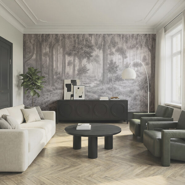 Forêt avec des arbres et des plantes Forêt avec des arbres et des plantes