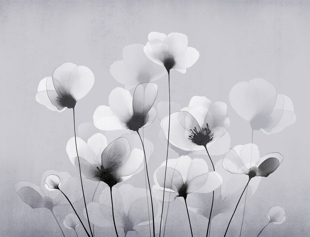 Group of white flowers
