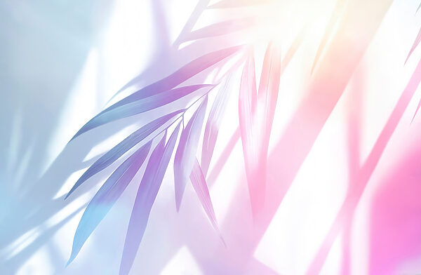 Delicate foliage with soft pastel hues Delicate foliage with soft pastel hues