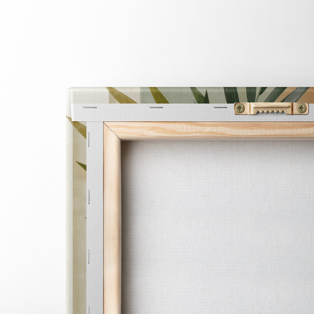 Plant with leaves on a white background