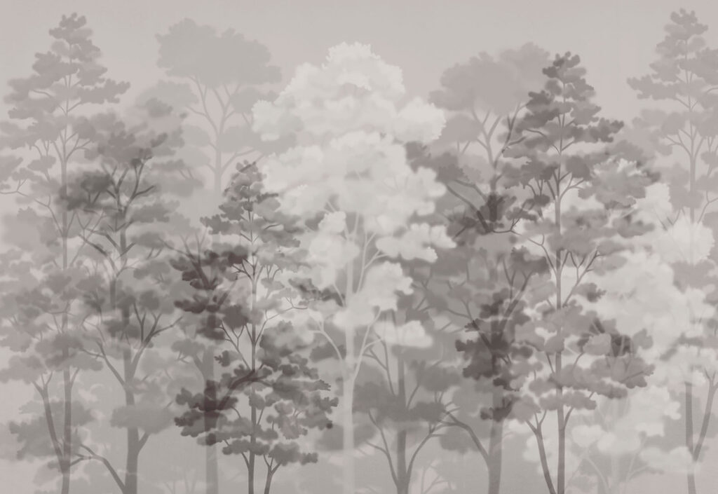 Group of trees in a foggy environment Group of trees in a foggy environment