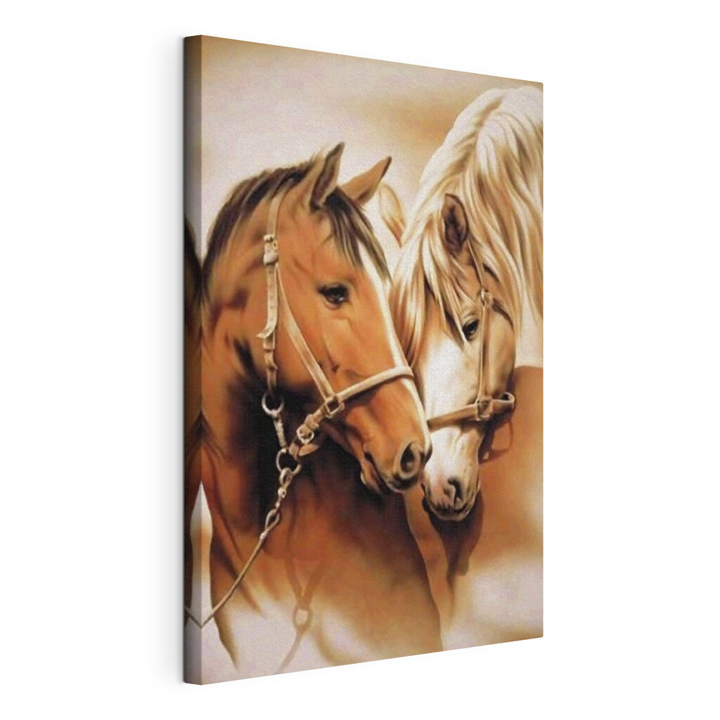 A close up of two horses