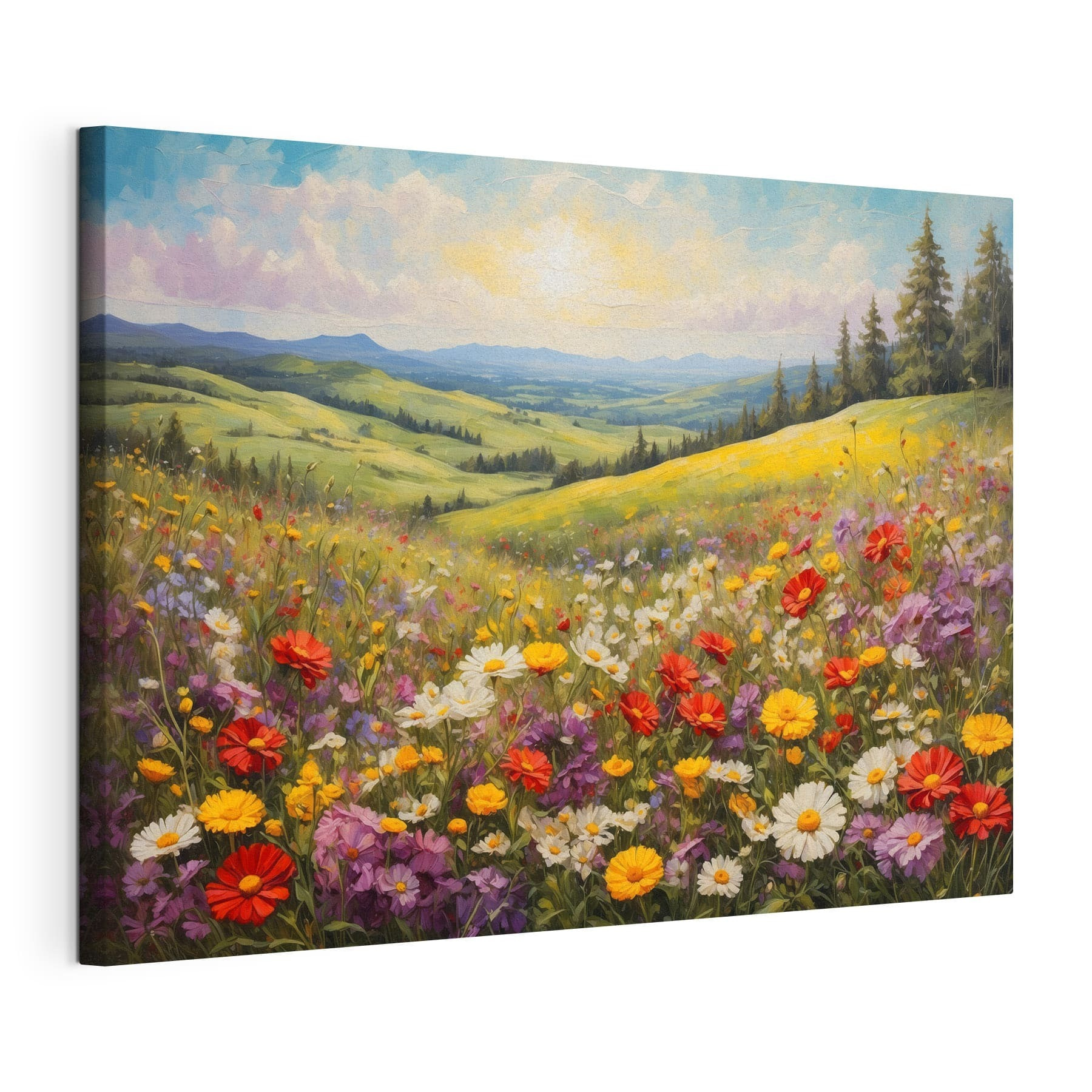 Field of colorful flowers Field of colorful flowers