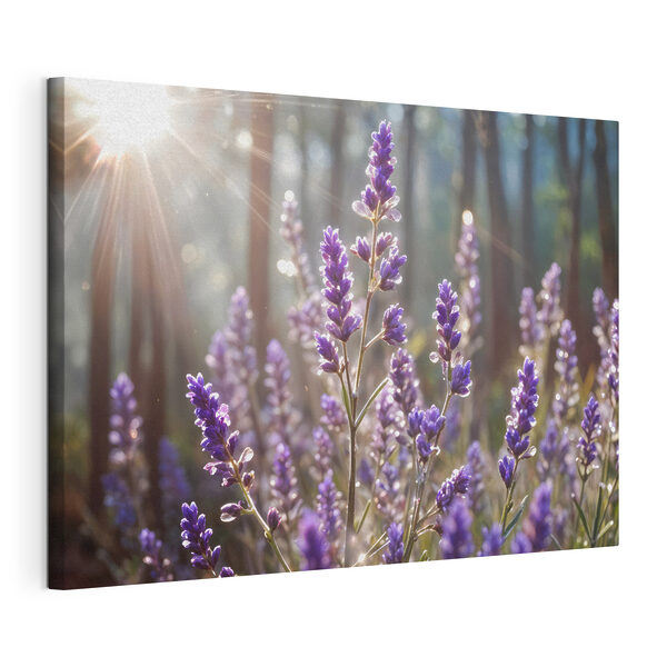 Tableaux Gros plan sur des fleurs violettes