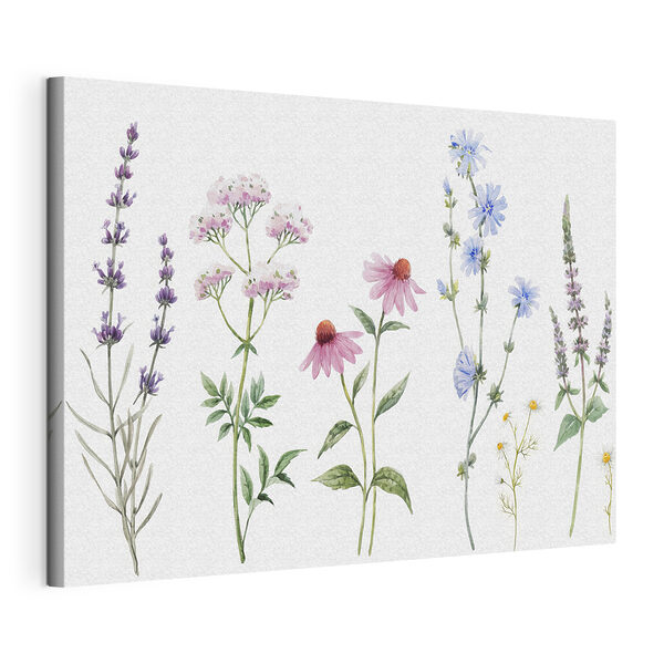 Tableaux Groupe de fleurs sur fond blanc (UGS : s34064) Tableaux Tableaux Groupe de fleurs sur fond blanc (UGS : s34064)