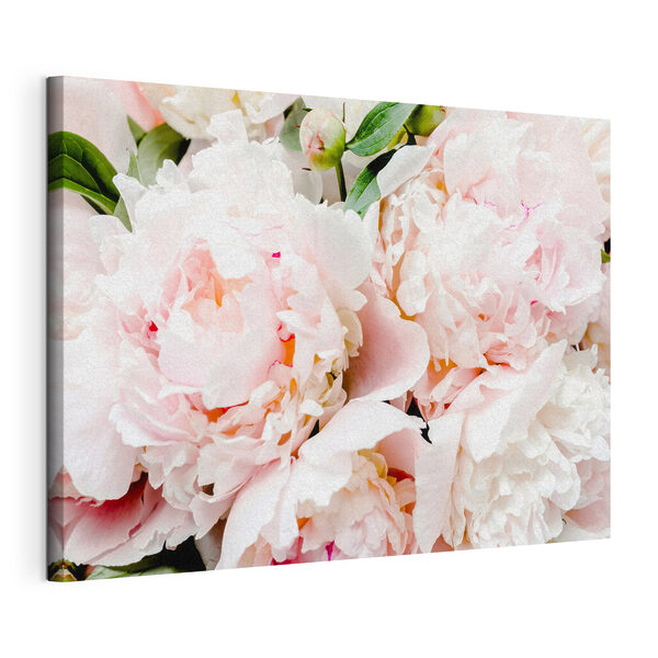 Un groupe de fleurs roses Tableaux Un groupe de fleurs roses