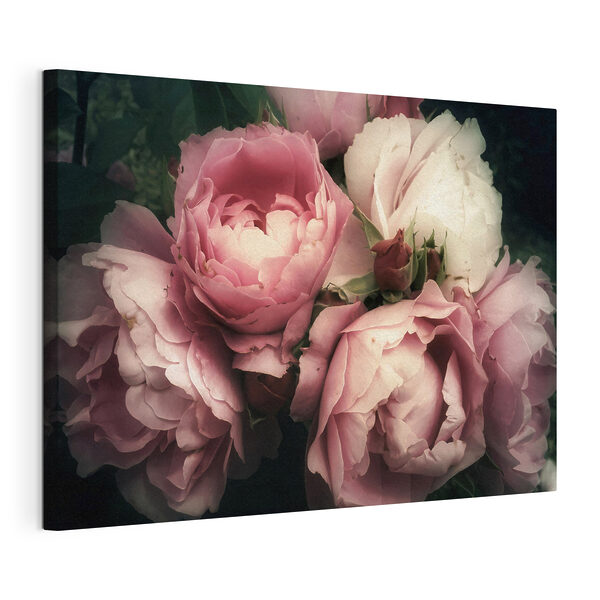 Tableaux Groupe de roses roses et blanches (UGS : s35242) Tableaux Tableaux Groupe de roses roses et blanches (UGS : s35242)