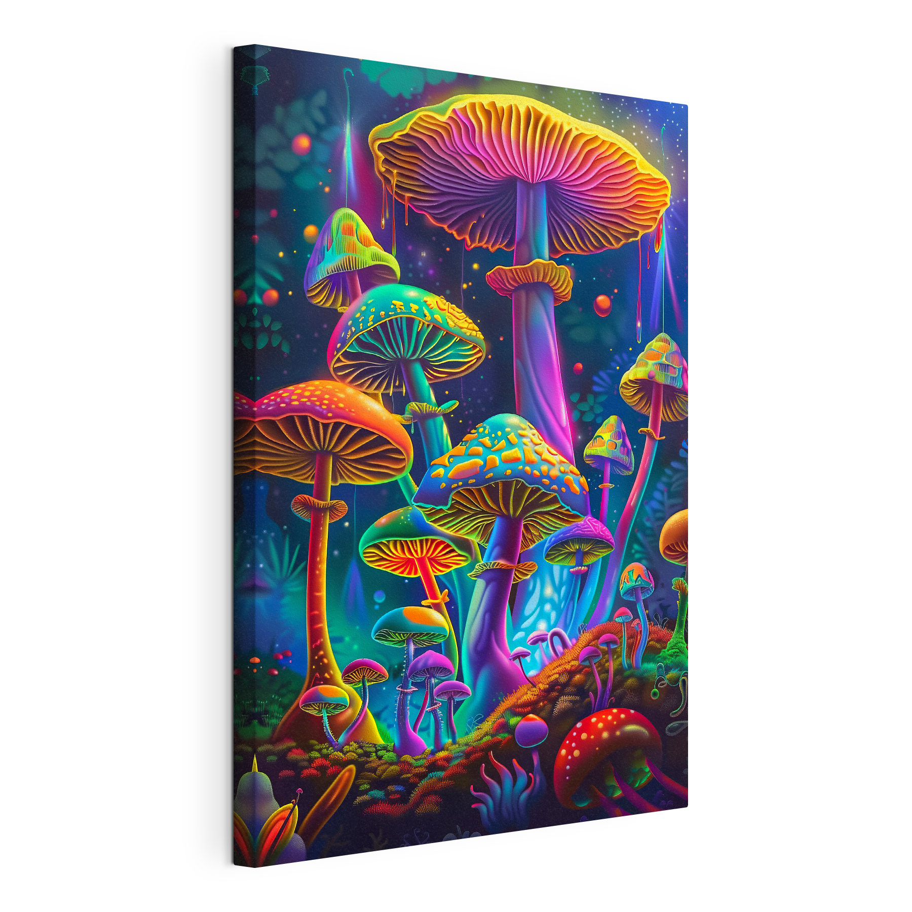 A colorful mushrooms in a forest