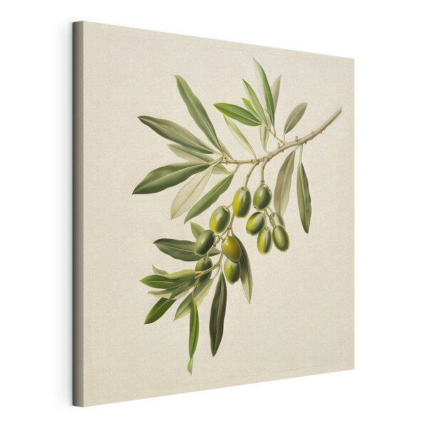 Un fruit vert sur une branche Tableaux Un fruit vert sur une branche