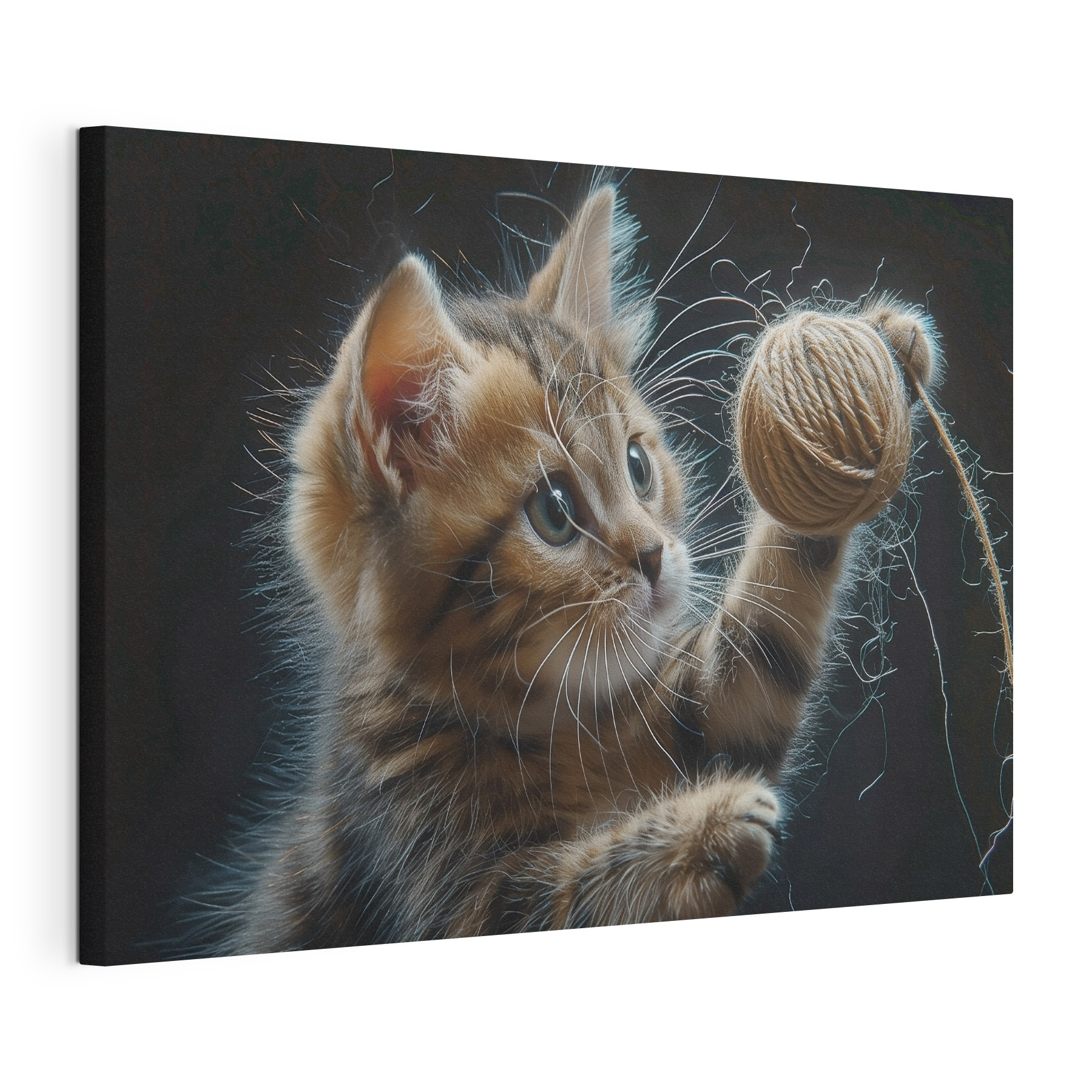 A cat playing with a ball of yarn A cat playing with a ball of yarn