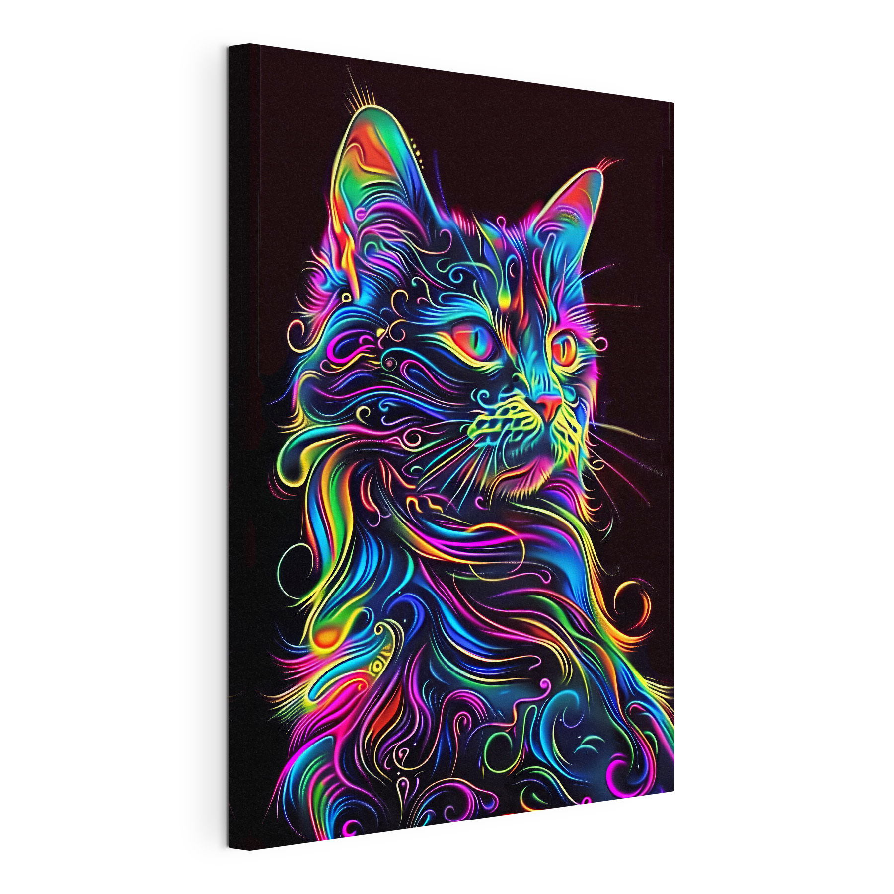 A colorful cat with a black background A colorful cat with a black background