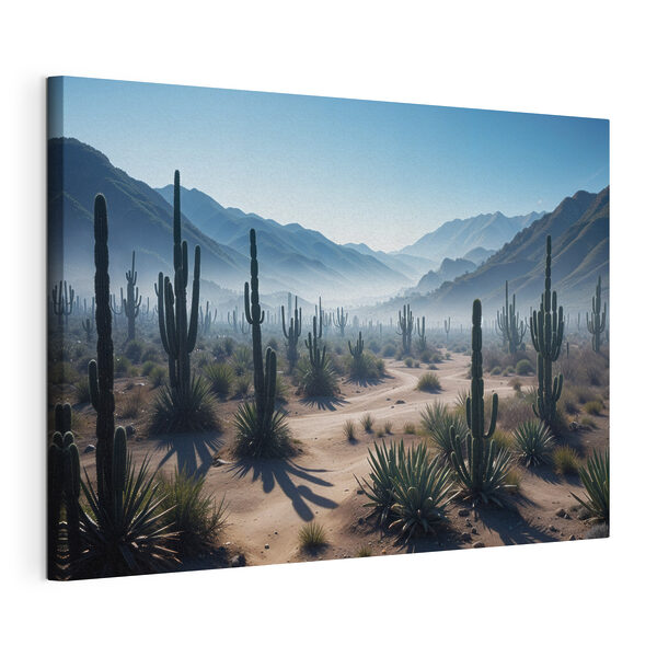 Tableaux Cactus dans un désert