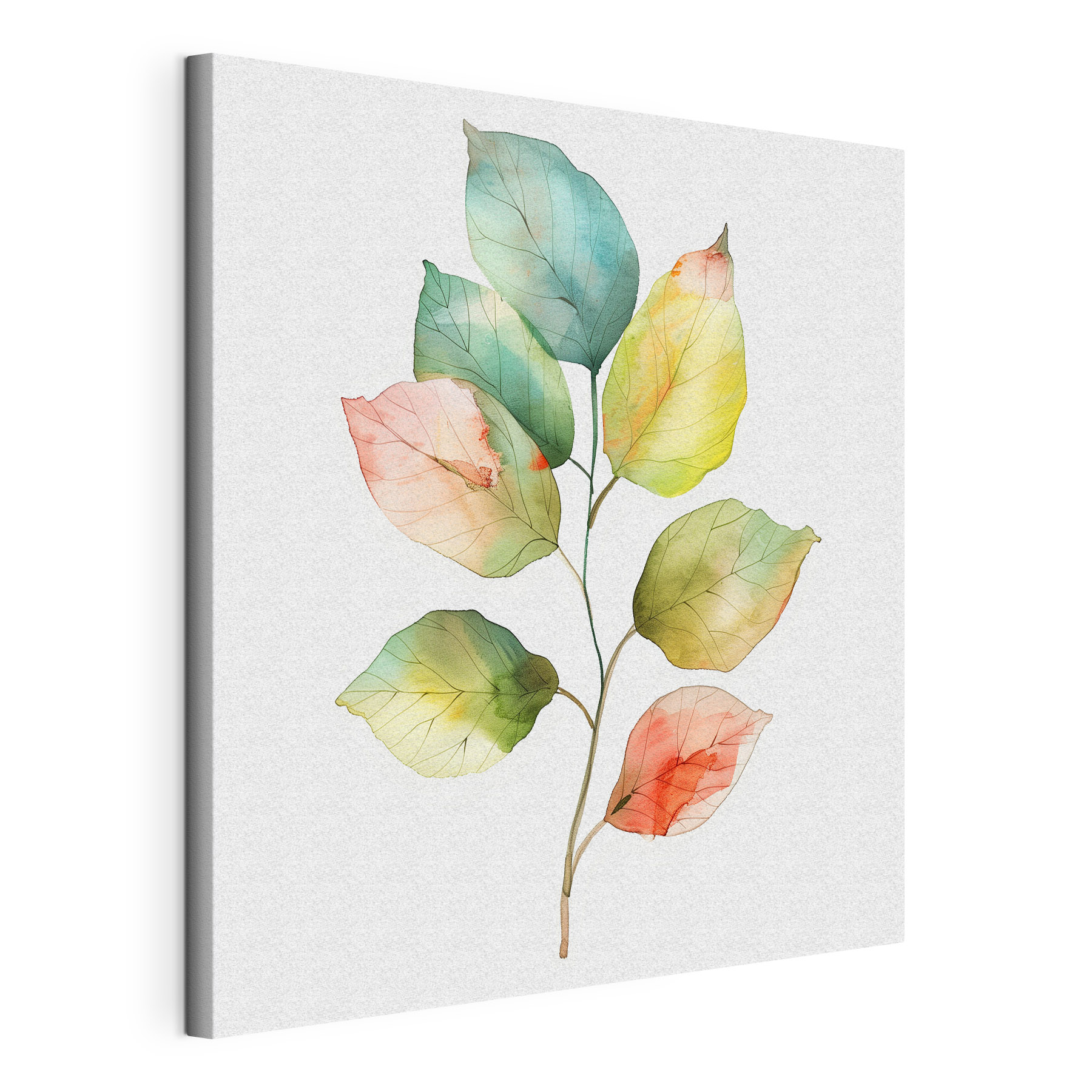 Watercolor of a leaf Watercolor of a leaf